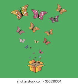 Multicolored butterflies flying out of the box