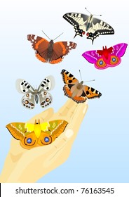 Multicolored butterflies flying out of human hands