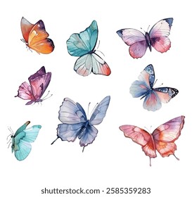 Multicolored butterflies illustration vector set. Flying butterflies isolated on white. Summer insects.