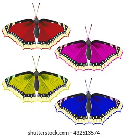 multicolored butterflies. Insects pleased with its appearance and color.