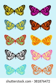 Multicolored butterflies on a blue background. Vector illustration. Diverse collection