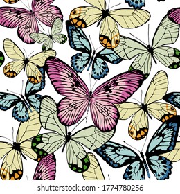 Multicolored butterflies, realistic style isolated on white background. Seamless pattern