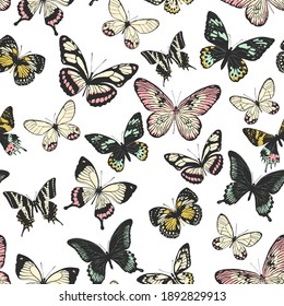 Multicolored butterflies, realistic style isolated on white background. Seamless pattern