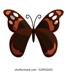 Multicolored butterfly icon. Cartoon illustration of multicolored butterfly vector icon for web