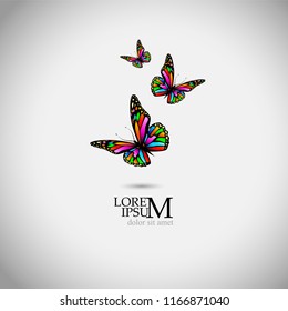 Multicolored Butterfly logo