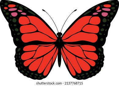 multicolored butterfly vector to embroider
