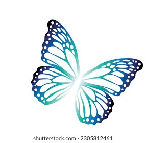 multicolored butterfly wings on white background