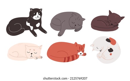 Multi-colored cats of different breeds lie resting. Tired charming kittens are sleeping. Cute animals drawn in a flat style. Colored vector illustration, doodle set isolated on white background.