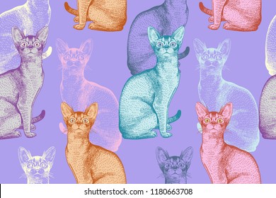 Multicolored cats. Seamless pattern. Realistic portrait of kittens. Vector illustration art. Modern style. Hand sketch pets. Template of design of paper, wallpaper, textiles, decoration animals shops