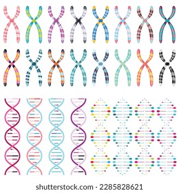 Multi-colored chromosomes and DNA Double Helices science vector illustration graphics