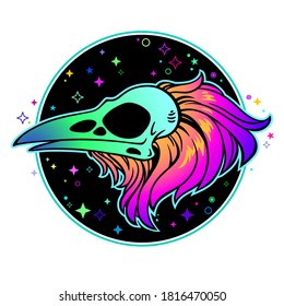 multicolored colored bird skull on black background