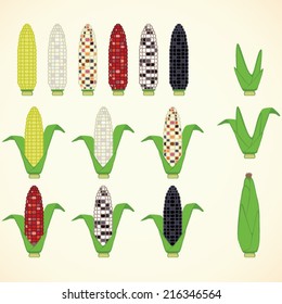 Multicolored Corn & Husk Illustrations