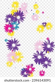 Multi-colored Daisy Background Transparent Vector. Leaf Simple Card. Color Flower Young. Festive Tile. Chic Yellow Petal.