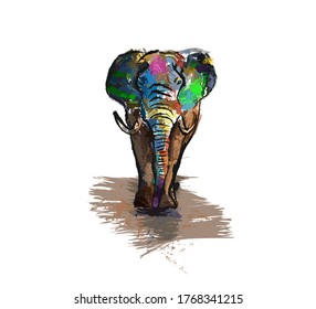 multicolored drawn elephant on a white background