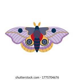 Multicolored exotic butterfly with eyes on wings. Colorful tropical moth with antennae, flying insect in flat design.