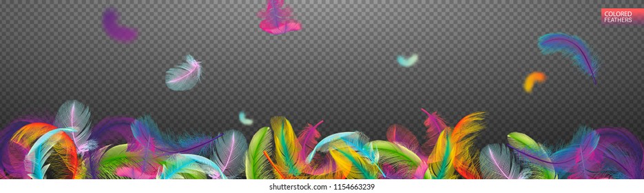 Multicolored falling twirled realistic feathers isolated on a transparent background. Light cute feathers design. Elements for design. Vector illustration.