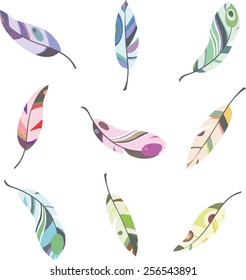 multicolored feathers with contour on a white background, vector illustration