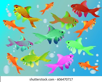 Multicolored fishes in water