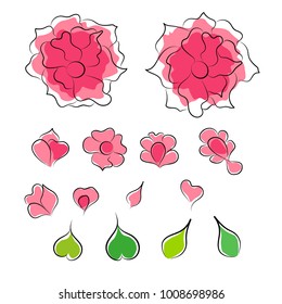 Multicolored floral background, vector bouquet and botany