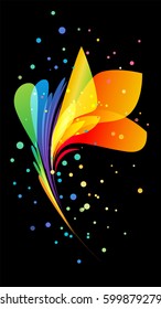 Multicolored flower on black background