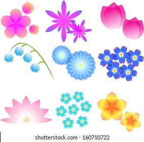 Multicolored flower set of  vector design elements