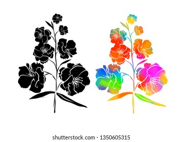 Multicolored flower. Vector