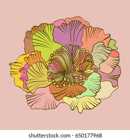 multicolored flower vector illustration