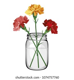 multicolored flowers carnation in bottle in jar.  Yellow, pink and red carnation. Isolated on white. vector illustration. Collection for Mother's Day, victory day