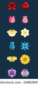 Multicolored flowers in different seasons, flat flower, Colorful illustration 