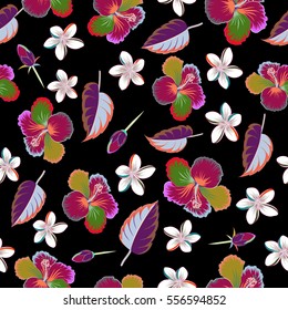 Multicolored flowers on a black background.