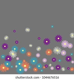 Multicolored flowers on a gray background