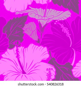 Multicolored flowers on a magenta background.