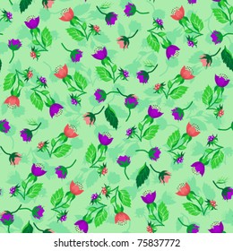 Multi-colored flowers on a turquoise background