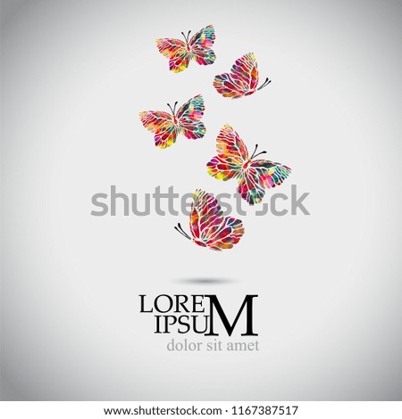 Multicolored flying butterflies