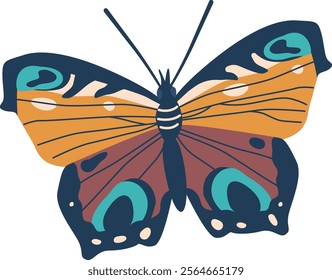 Multicolored flying butterfly insect vector illustration