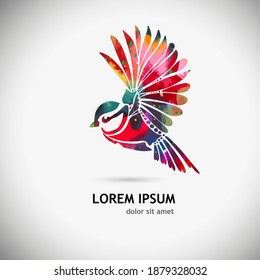 A multi-colored flying decorative bird. Vector illustration