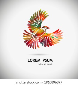 A multi-colored flying decorative bird. Vector illustration