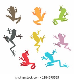 Multicolored frogs in different styles Cartoon Vector Illustration isolated.