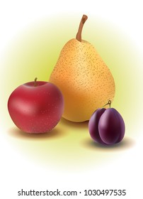 Multicolored fruits in vector.