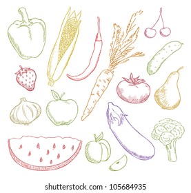 multicolored fruits and vegetables vector set