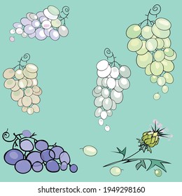 Multicolored Grape Bunch with Flower