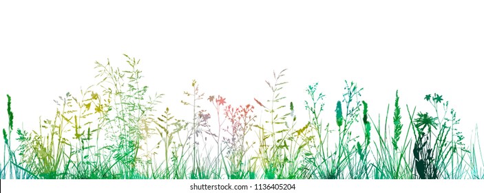 Multicolored grass silhouette