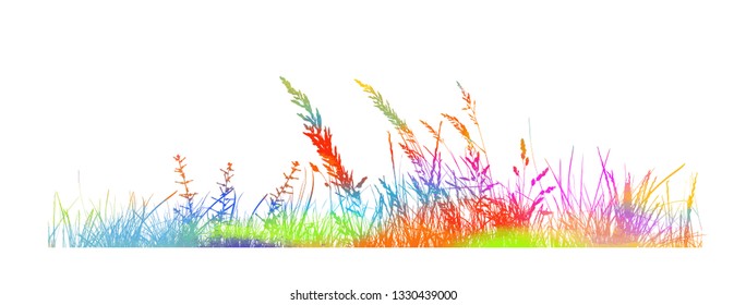 Multicolored grass silhouette