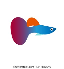 Multicolored guppy made in a flat style
Vector color gradient drawing