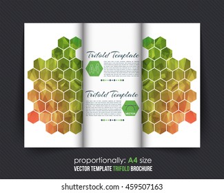 Multicolored Hexagon Frames Tri-Fold Brochure Design. Corporate Leaflet, Cover Template