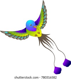 multi-colored hummingbird with long tail in flight