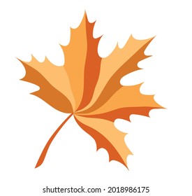 Multicolored isolated autumn orange maple leaf