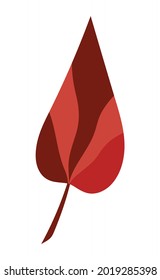 Multicolored isolated autumn red leaf