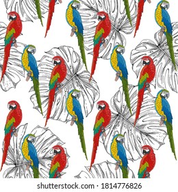 Multicolored large parrots on a background of black and white monstera leaves. Seamless vector pattern for different surfaces.