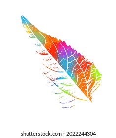 The multi-colored leaf is beautiful skeletonized. Rainbow world. Mixed media. Vector illustration